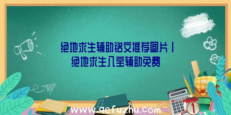 「绝地求生辅助铭文推荐图片」|绝地求生八宝辅助免费